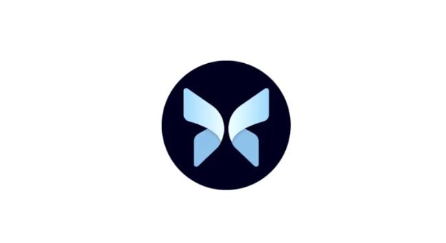 MORPHO币前景如何 值得投资吗