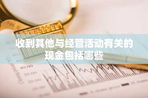 收到其他与经营活动有关的现金包括哪些