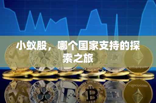 小蚁股，哪个国家支持的探索之旅