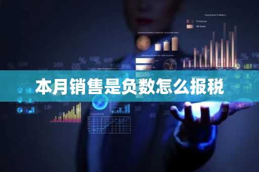 本月销售是负数怎么报税