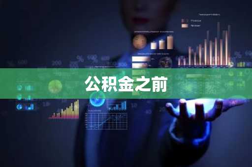 公积金之前