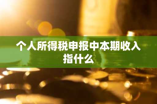 个人所得税申报中本期收入指什么