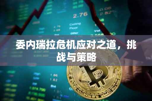 委内瑞拉危机应对之道，挑战与策略