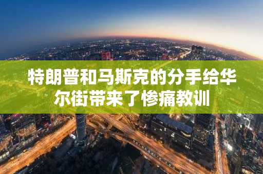 特朗普和马斯克的分手给华尔街带来了惨痛教训