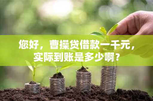 您好，曹操贷借款一千元，实际到账是多少啊？