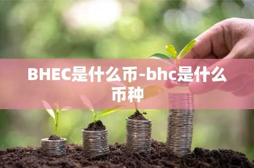BHEC是什么币-bhc是什么币种