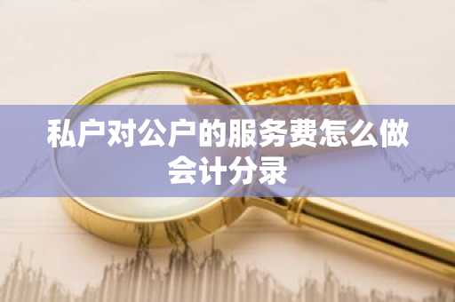 私户对公户的服务费怎么做会计分录