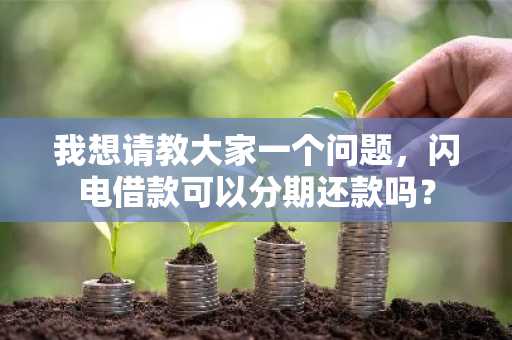 我想请教大家一个问题，闪电借款可以分期还款吗？