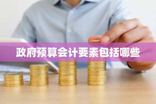 政府预算会计要素包括哪些