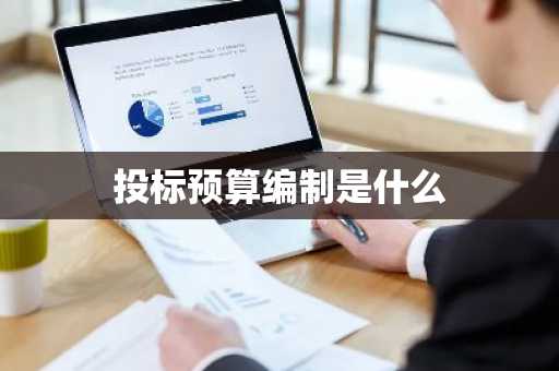 投标预算编制是什么