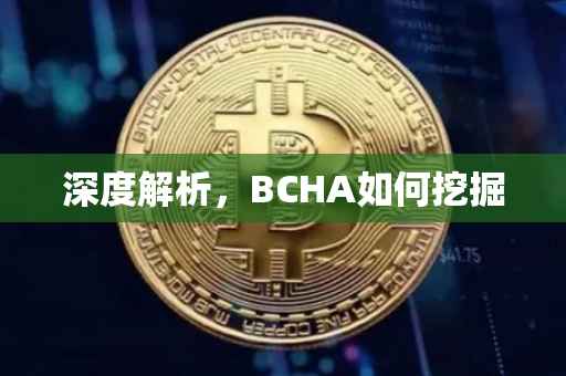 深度解析，BCHA如何挖掘