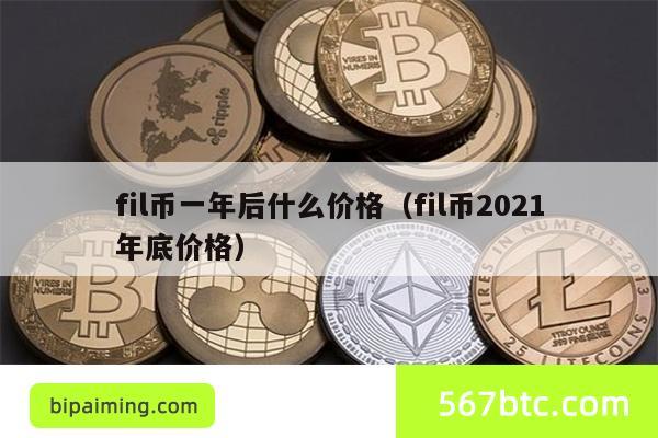 fil币一年后什么价格（fil币2021年底价格）