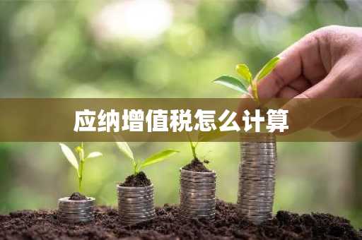 应纳增值税怎么计算