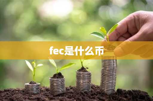fec是什么币