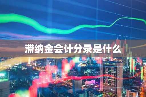 滞纳金会计分录是什么
