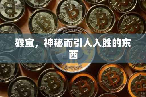猴宝，神秘而引人入胜的东西