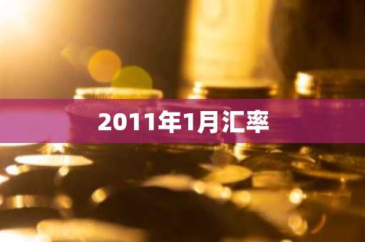 2011年1月汇率