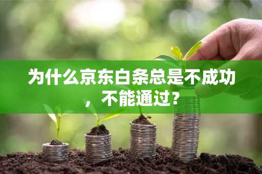 为什么京东白条总是不成功，不能通过？