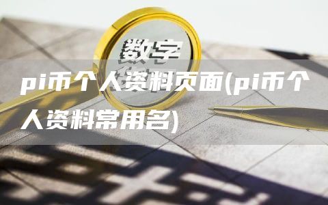 pi币个人资料页面 - pi币个人资料常用名