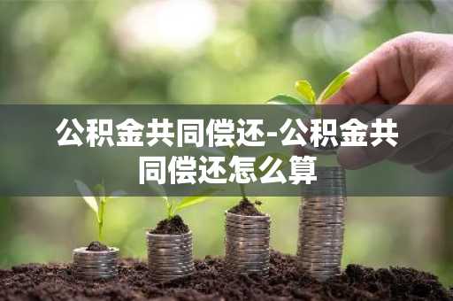 公积金共同偿还-公积金共同偿还怎么算