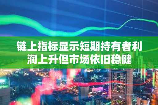 链上指标显示短期持有者利润上升但市场依旧稳健
