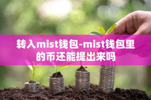 转入mist钱包-mist钱包里的币还能提出来吗