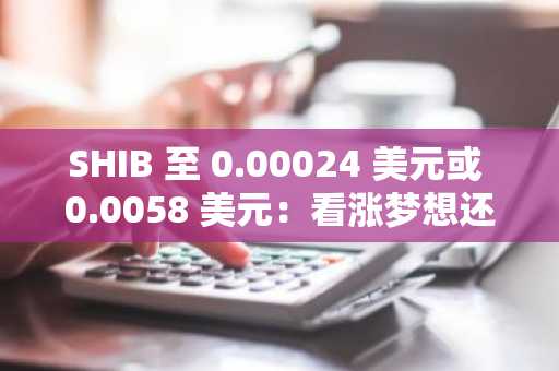 SHIB 至 0.00024 美元或 0.0058 美元：看涨梦想还是未来现实？