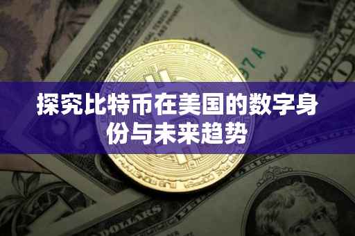 探究比特币在美国的数字身份与未来趋势