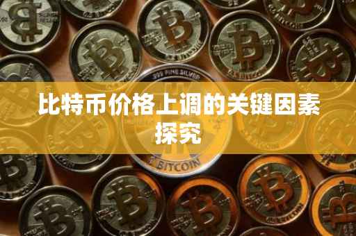 比特币价格上调的关键因素探究