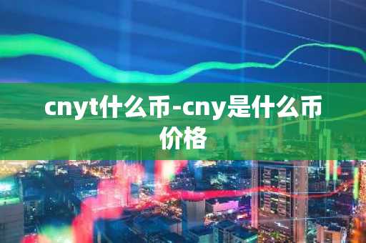 cnyt什么币-cny是什么币价格