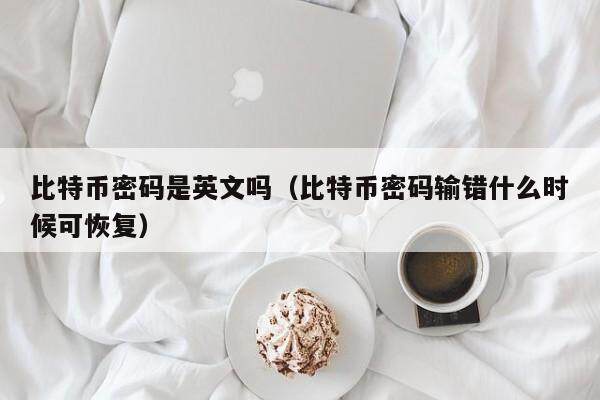 比特币密码是英文吗（比特币密码输错什么时候可恢复）