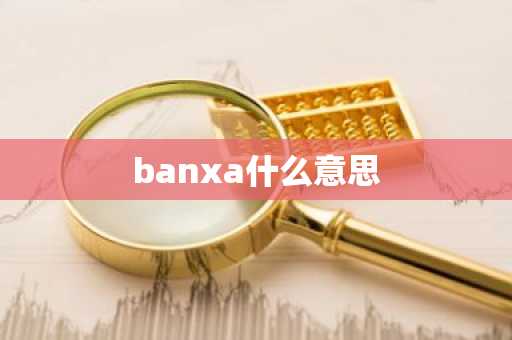 banxa什么意思