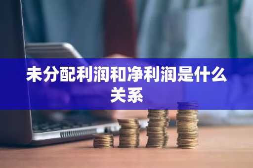未分配利润和净利润是什么关系