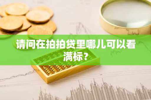 请问在拍拍贷里哪儿可以看满标？