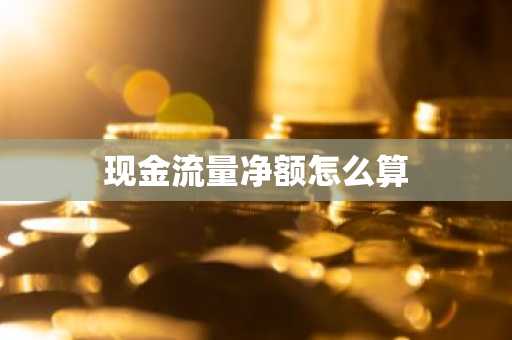 现金流量净额怎么算