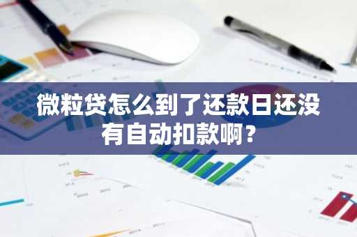 微粒贷怎么到了还款日还没有自动扣款啊？