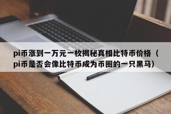 pi币涨到一万元一枚揭秘真相比特币价格（pi币是否会像比特币成为币圈的一只黑马）