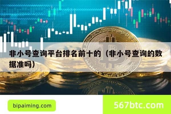 非小号查询平台排名前十的（非小号查询的数据准吗）