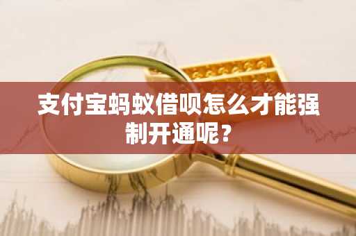 支付宝蚂蚁借呗怎么才能强制开通呢？