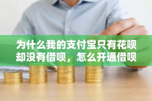 为什么我的支付宝只有花呗却没有借呗，怎么开通借呗啊？