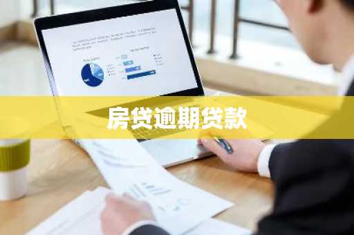 房贷逾期贷款