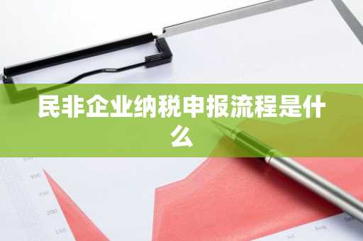 民非企业纳税申报流程是什么