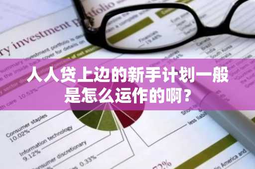 人人贷上边的新手计划一般是怎么运作的啊？