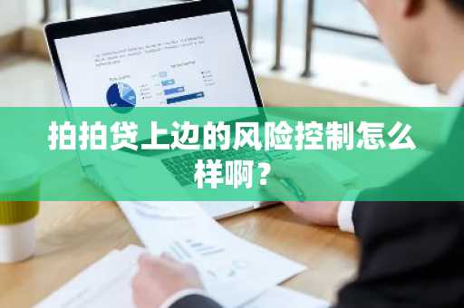 拍拍贷上边的风险控制怎么样啊？