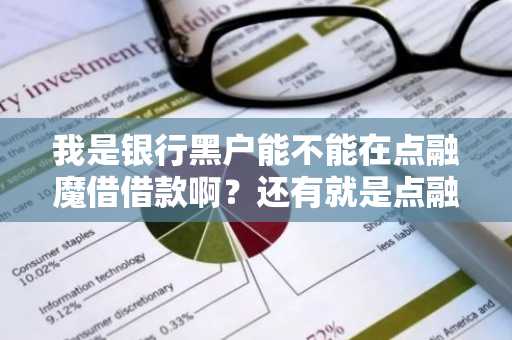 我是银行黑户能不能在点融魔借借款啊？还有就是点融魔借好下款吗？