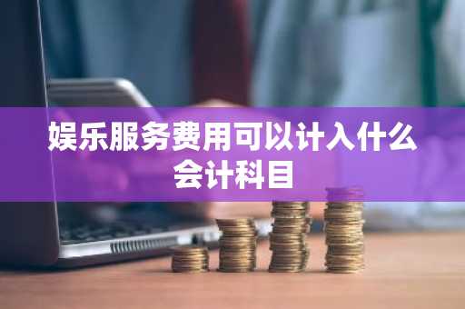 娱乐服务费用可以计入什么会计科目