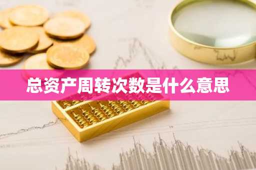 总资产周转次数是什么意思
