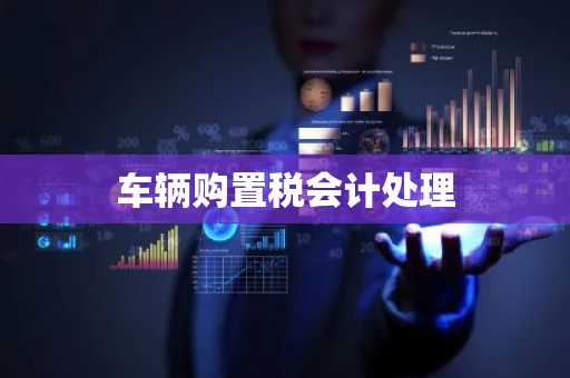 车辆购置税会计处理