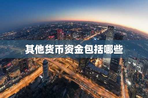 其他货币资金包括哪些