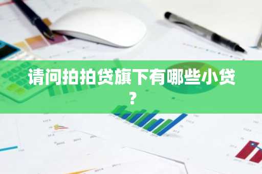 请问拍拍贷旗下有哪些小贷？